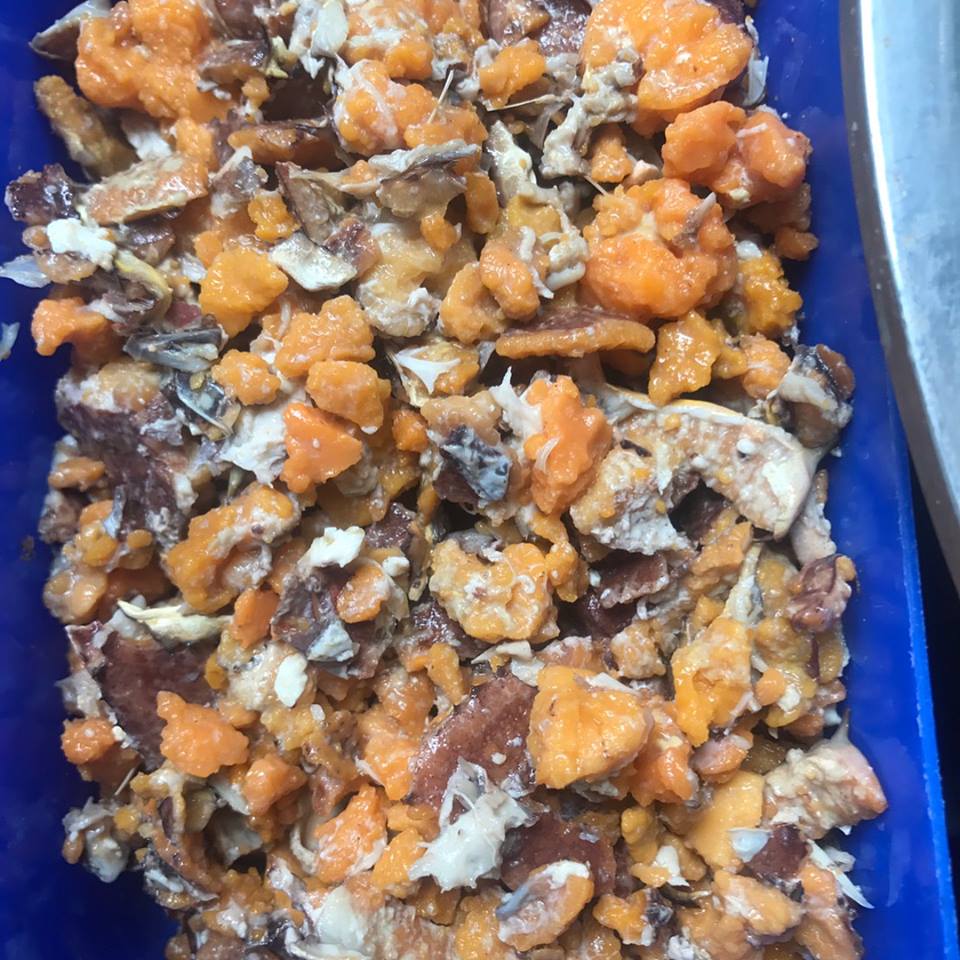 រូបភាពពីគេហទំព័រ បាយឆាក្តាមល្បីកំពត លើហ្វេសប៊ុក